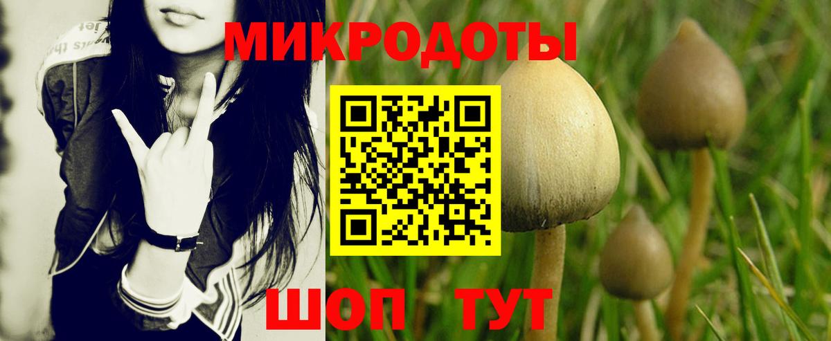 Галлюциногенные грибы мицелий Калининград