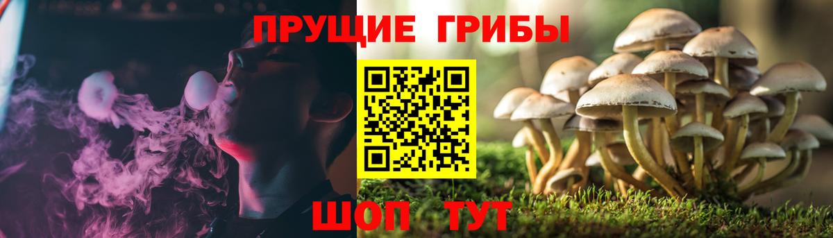 как найти закладки  Галлюциногенные грибы ЛСД  Калининград  Вход с VPN  Галлюциногенные грибы MAGIC MUSHROOMS 